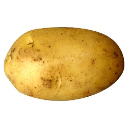 Tater People